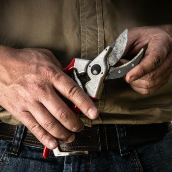 Sécateur pour taille difficile