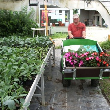 Vente de brouette maraîchère et chariot manuel ou électrique