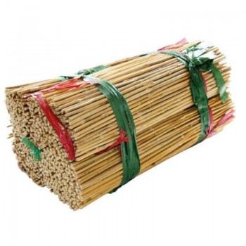 tuteur bambou