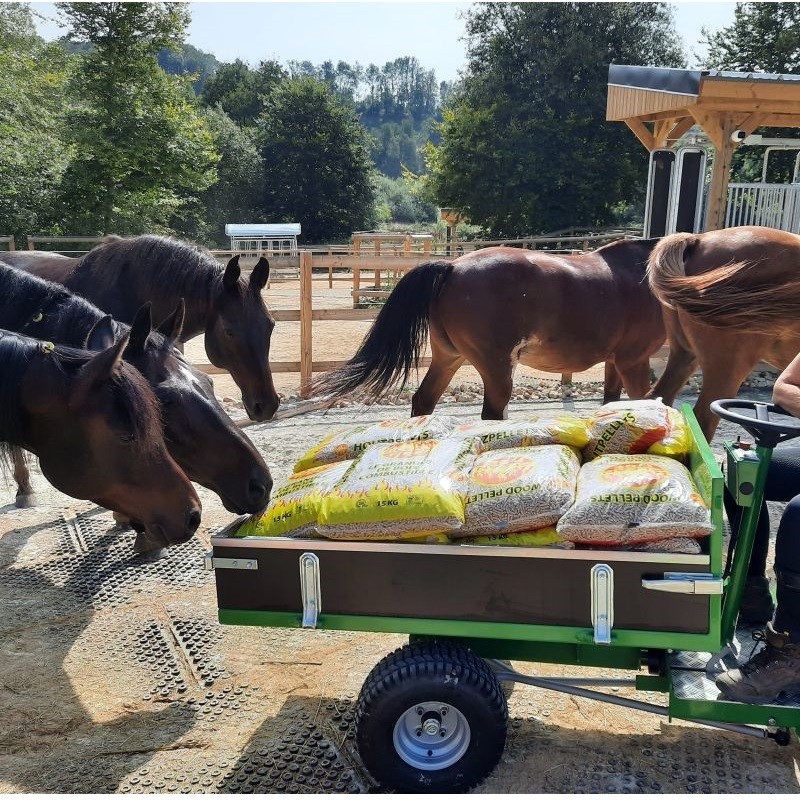 aliments chevaux aliments chevaux