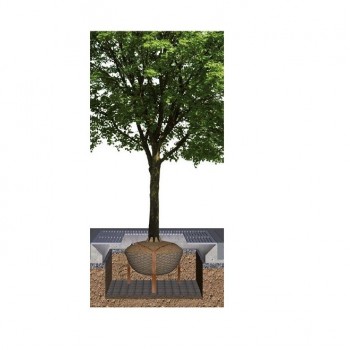 ancrage d'arbre sur treillis soudé